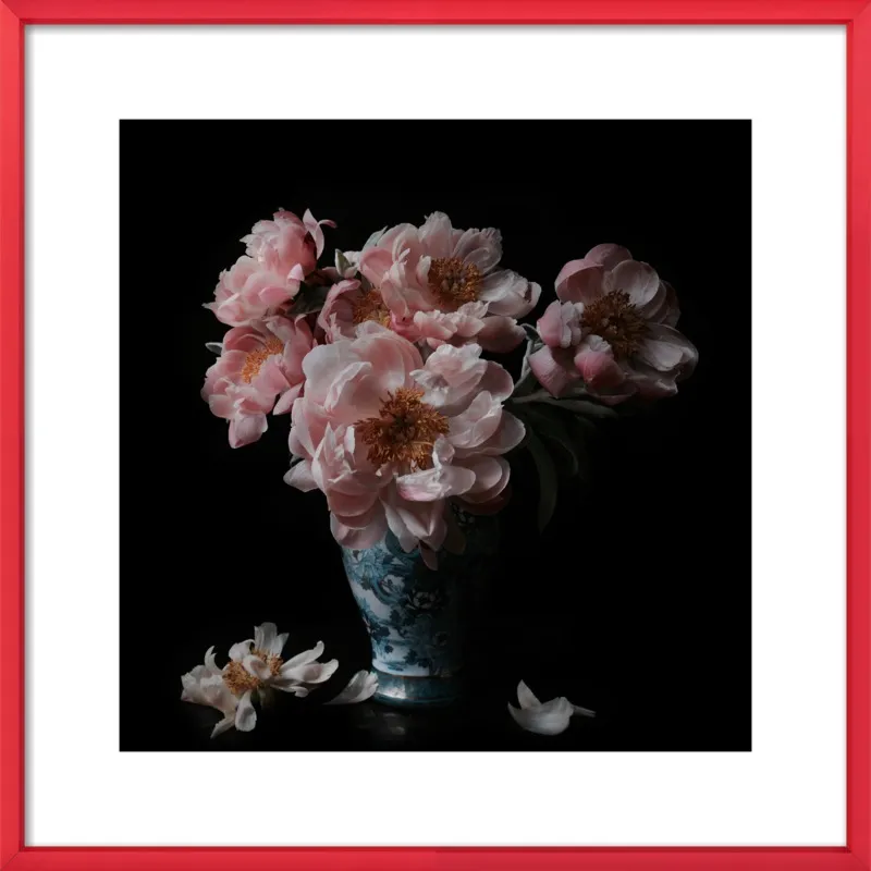 Pink Peonies  by Lucy Snowe for Artfully Walls