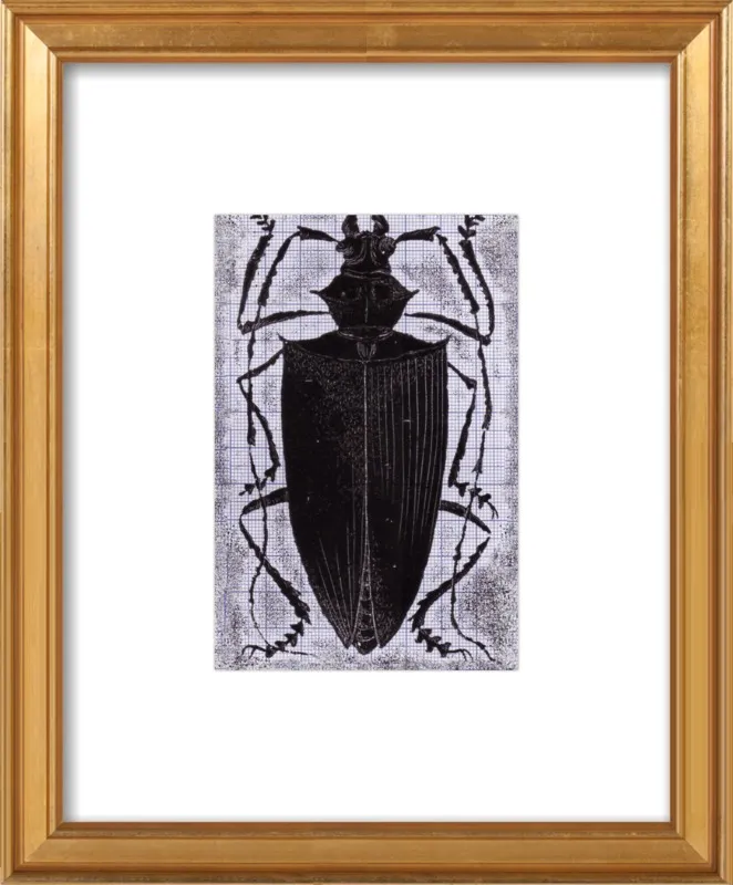 Black Beetle on Grey by Tennopent Sooster for Artfully Walls