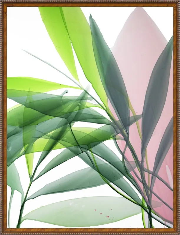 Tropical Study no. 15 by Marina Dunbar  for Artfully Walls
