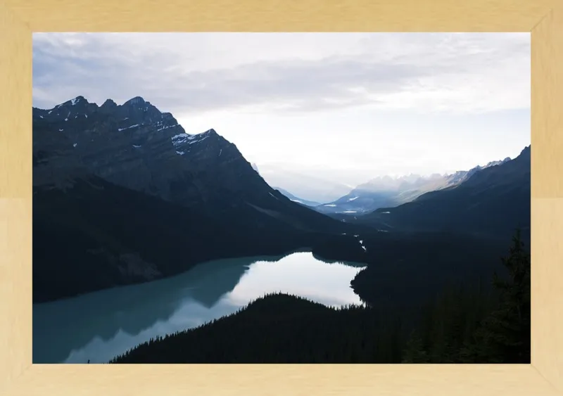 Summer Night on Peyto Lake  by Tracy Zhang for Artfully Walls