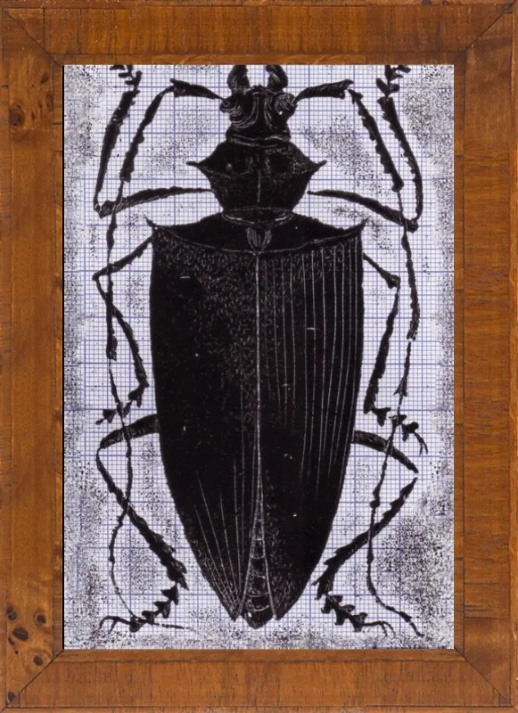 Black Beetle on Grey by Tennopent Sooster for Artfully Walls