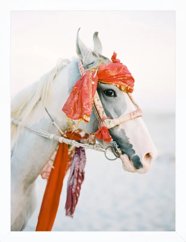 Marwari by Andrew Jacona for Artfully Walls