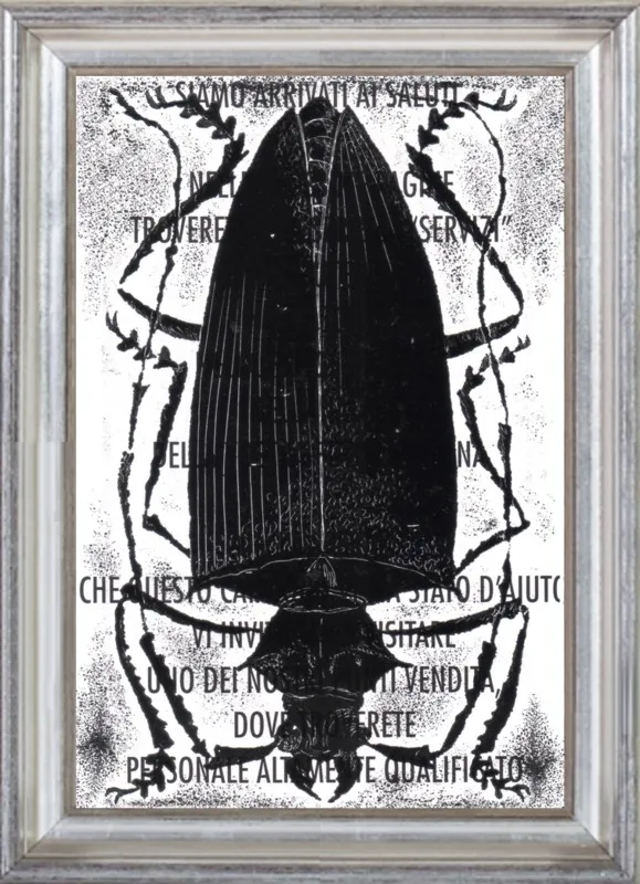 Black Beetle on Words by Tennopent Sooster for Artfully Walls
