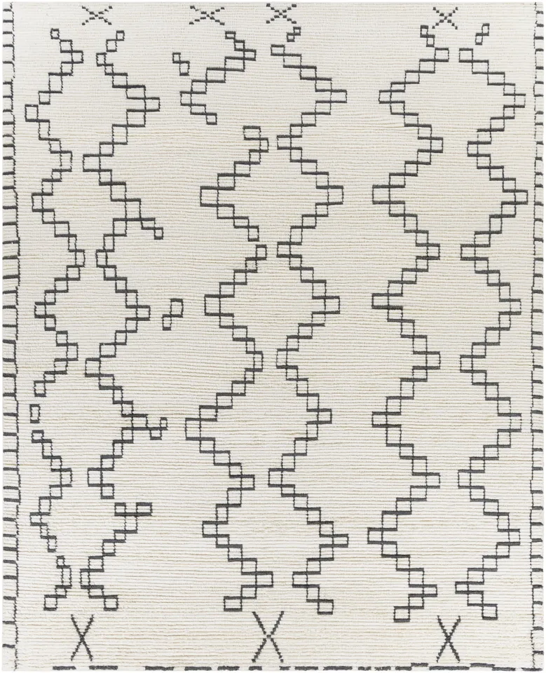 Beni Ourain Beige Indoor 8' x 10' Handmade Rug