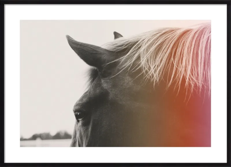 Pink Pony by Alicia Bock for Artfully Walls