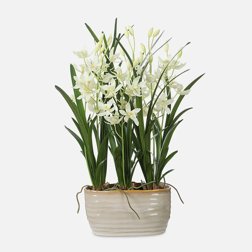 Ariana Orchid Planter