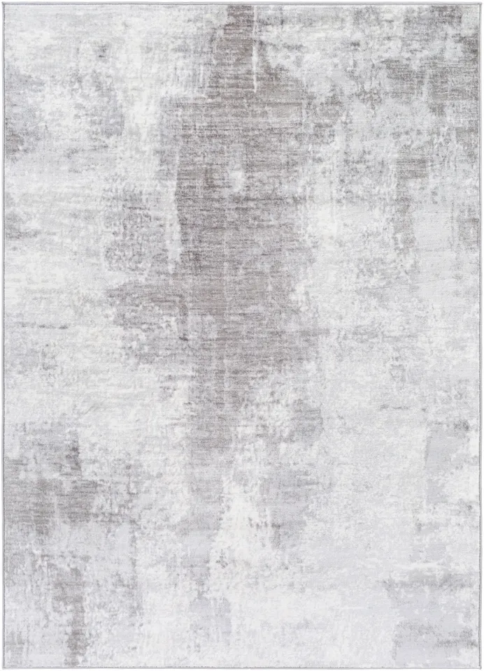 Wanderlust Gray Indoor 2' x 2'11" Machine Woven Rug