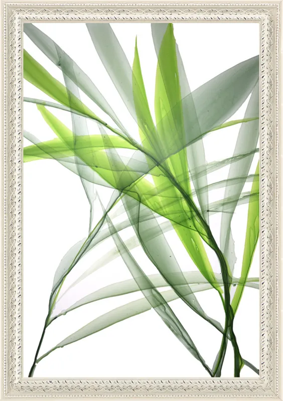 Tropical Study no. 3 by Marina Dunbar  for Artfully Walls