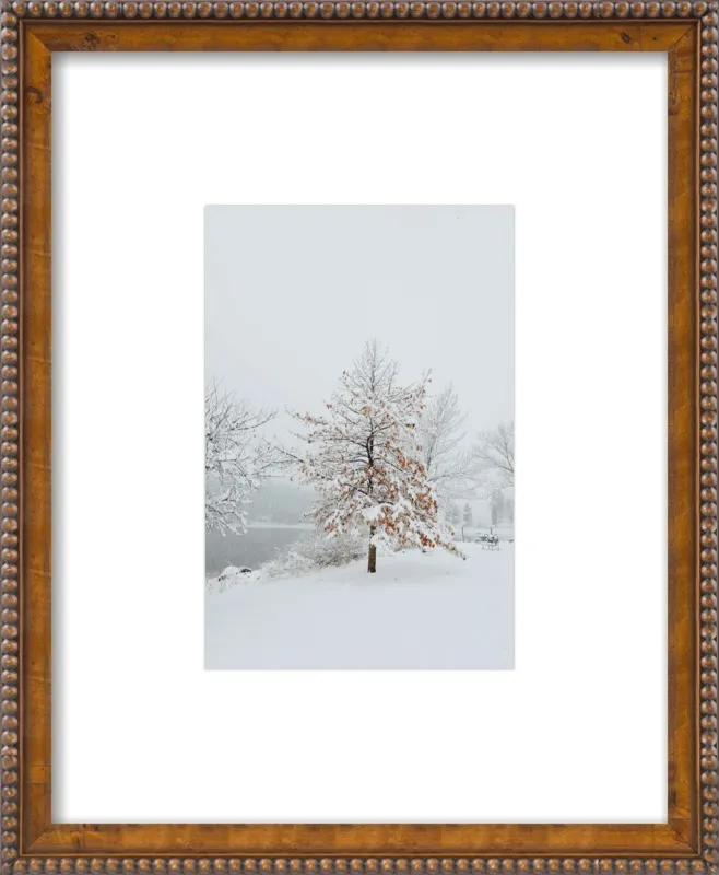 Winter Scene by Lucy Snowe for Artfully Walls
