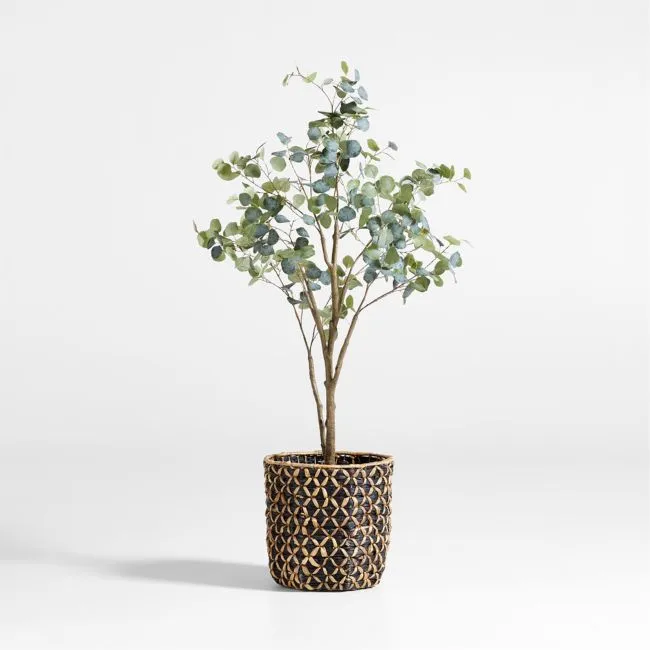 Faux Silver Dollar Eucalyptus Tree 6'
