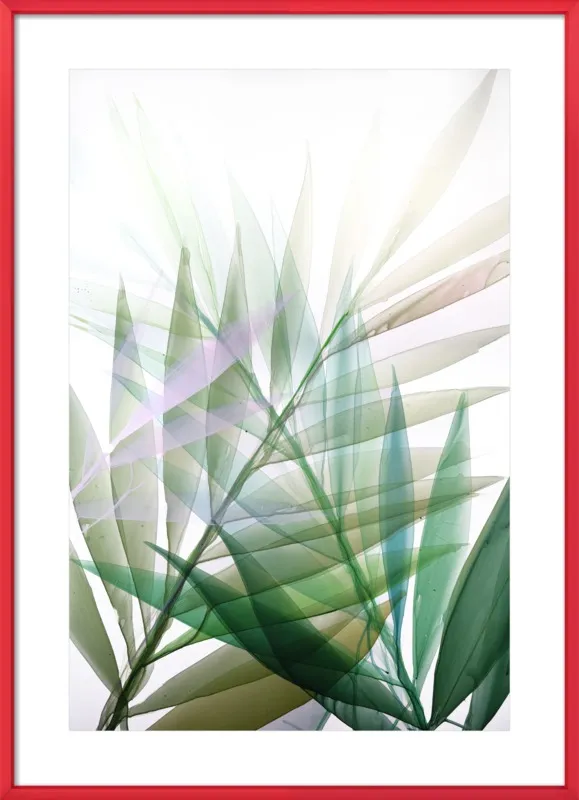 Tropical Study no. 8 by Marina Dunbar  for Artfully Walls