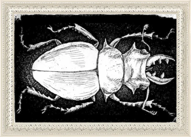 White Beetle on Black by Tennopent Sooster for Artfully Walls