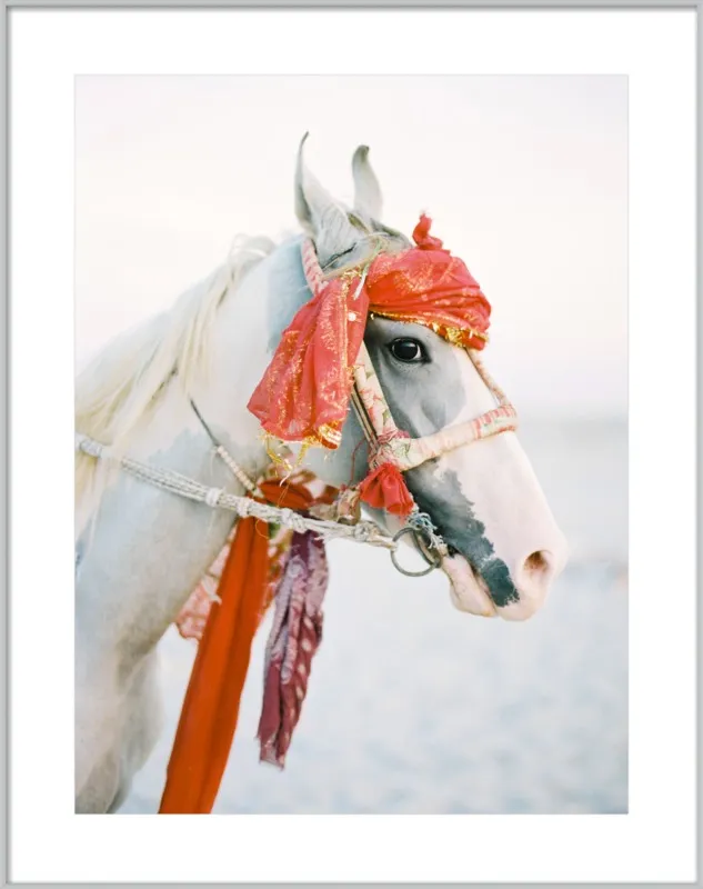 Marwari by Andrew Jacona for Artfully Walls