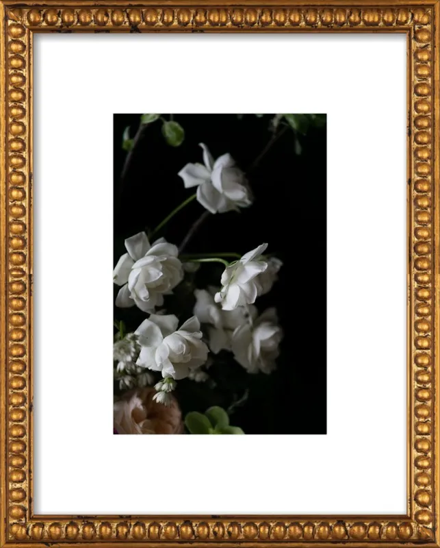 Floral Study by Emilia Jane Schobeiri for Artfully Walls