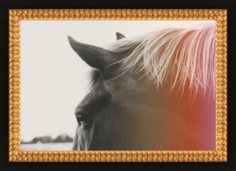 Pink Pony by Alicia Bock for Artfully Walls