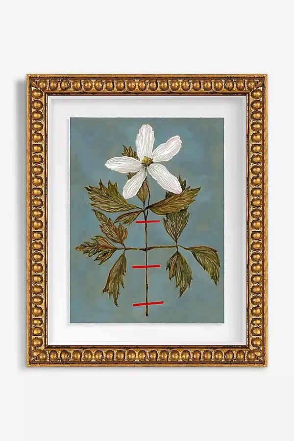 Herbarium Wall Art