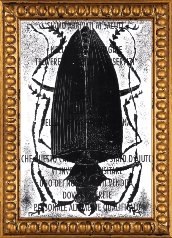 Black Beetle on Words by Tennopent Sooster for Artfully Walls