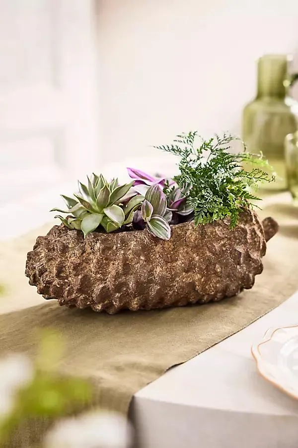 Concrete Pinecone Planter, Oblong