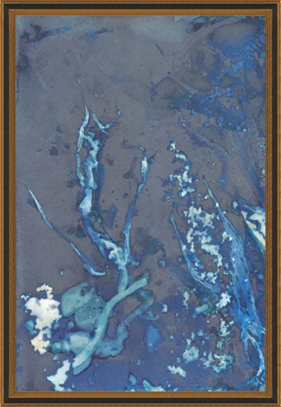 The Secret Life of Rockpools No. 32/100 by Desiree Elizabeth Malan for Artfully Walls