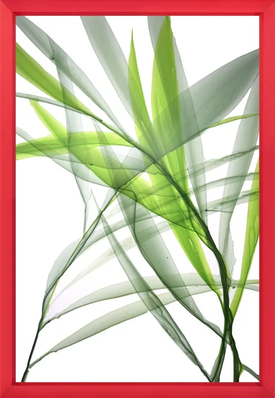 Tropical Study no. 3 by Marina Dunbar  for Artfully Walls