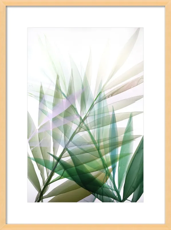 Tropical Study no. 8 by Marina Dunbar  for Artfully Walls