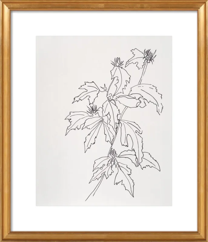 Leaves Rose of Sharon by Casey Chalem Anderson for Artfully Walls