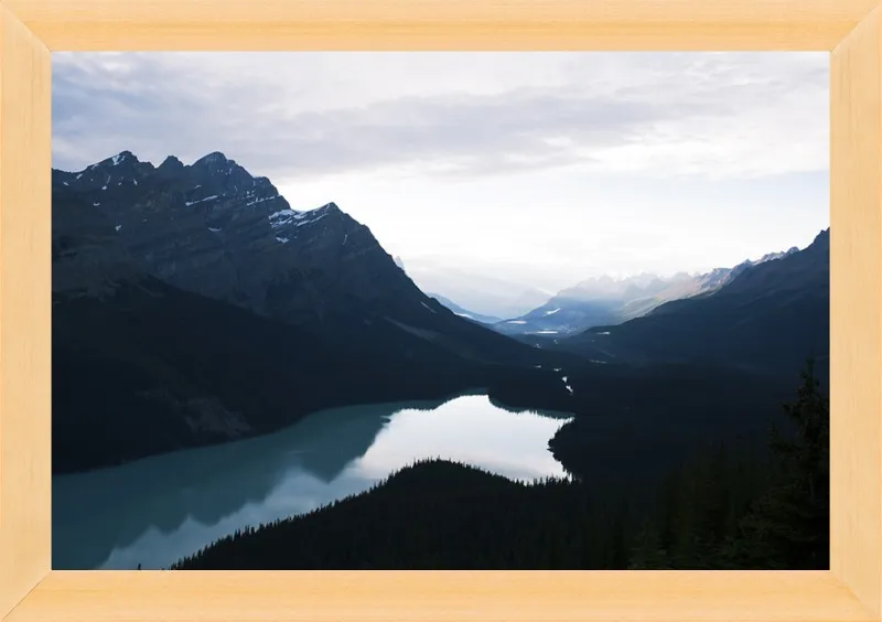 Summer Night on Peyto Lake  by Tracy Zhang for Artfully Walls