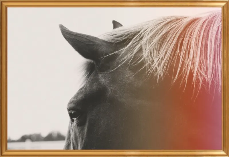 Pink Pony by Alicia Bock for Artfully Walls