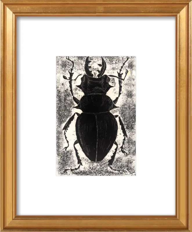 Black Beetle on White by Tennopent Sooster for Artfully Walls