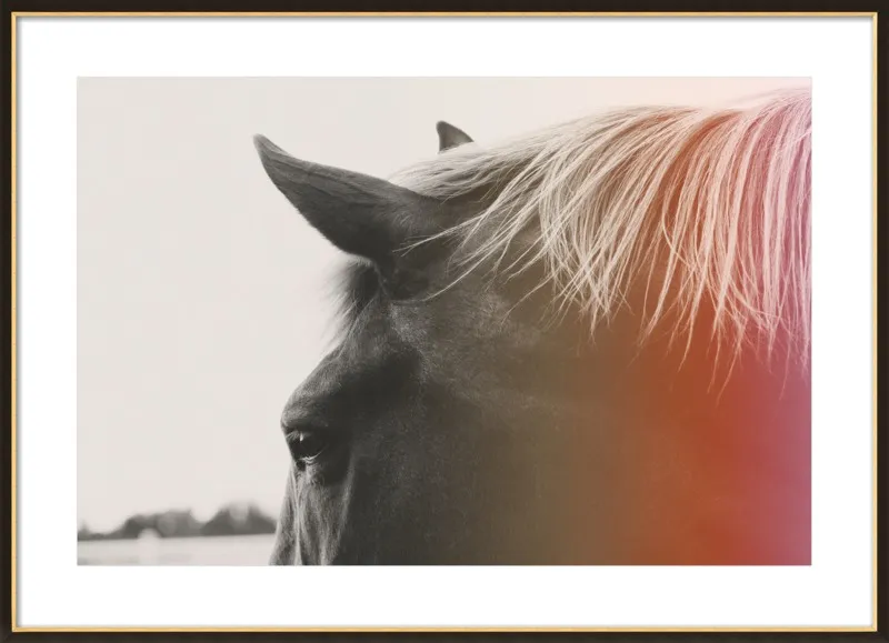 Pink Pony by Alicia Bock for Artfully Walls