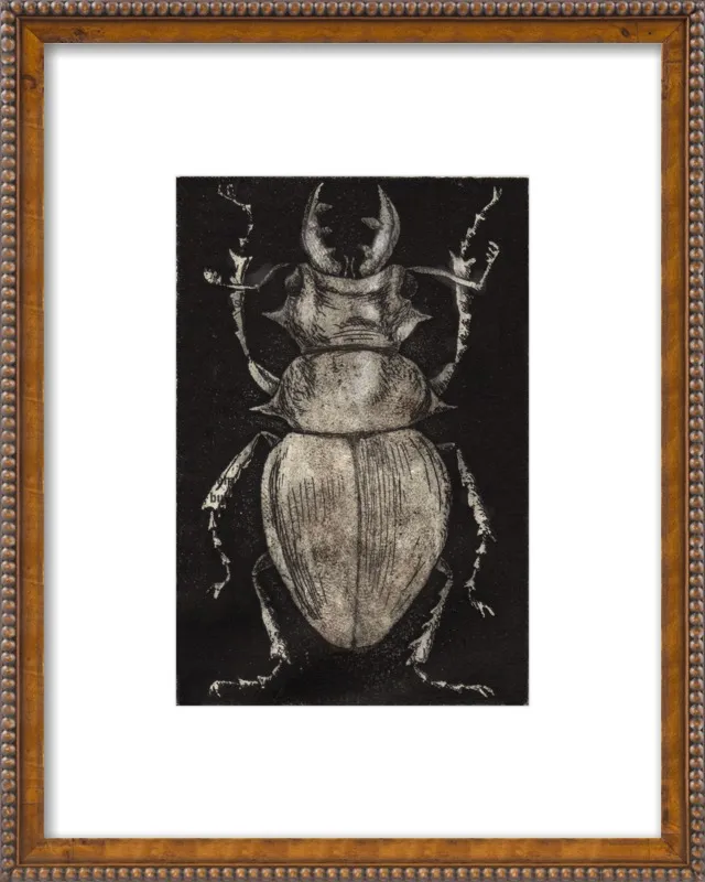 Grey Beetle on Black by Tennopent Sooster for Artfully Walls