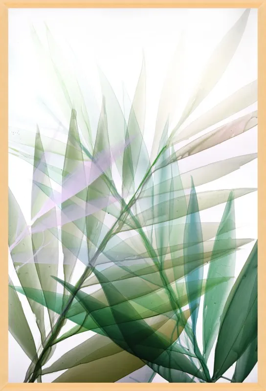 Tropical Study no. 8 by Marina Dunbar  for Artfully Walls