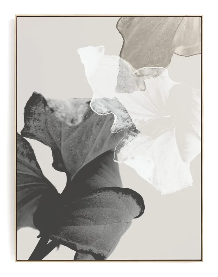 Refractions Limited Edition Fine Art Print
