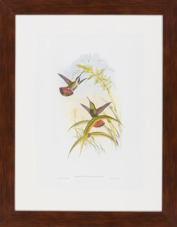 Surya Wall Decor LJ-4012 33"H x 26"W Framed Art