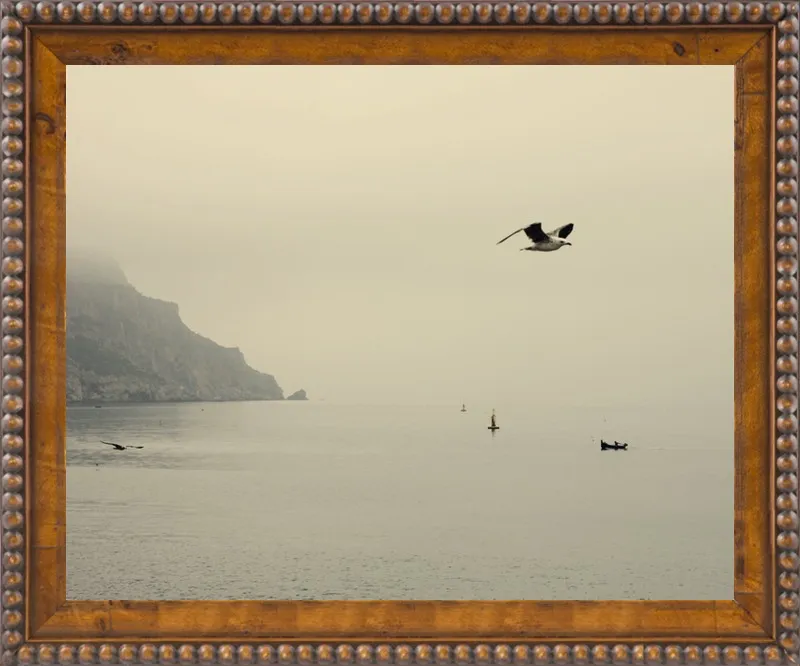 one day I will fly away by Ingrid Beddoes for Artfully Walls