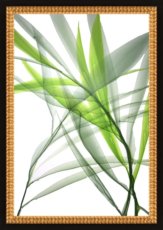 Tropical Study no. 3 by Marina Dunbar  for Artfully Walls