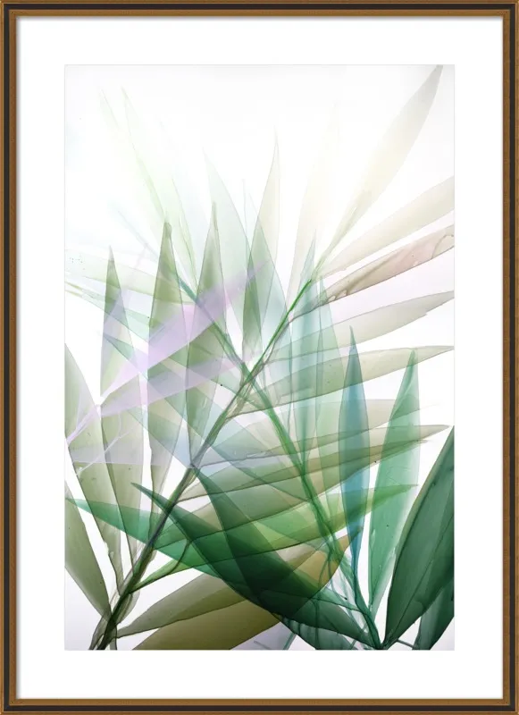 Tropical Study no. 8 by Marina Dunbar  for Artfully Walls
