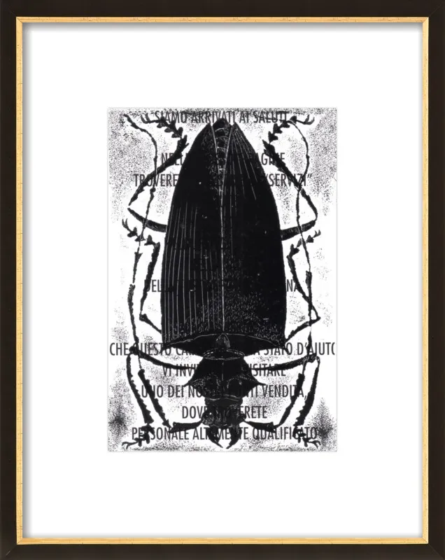 Black Beetle on Words by Tennopent Sooster for Artfully Walls