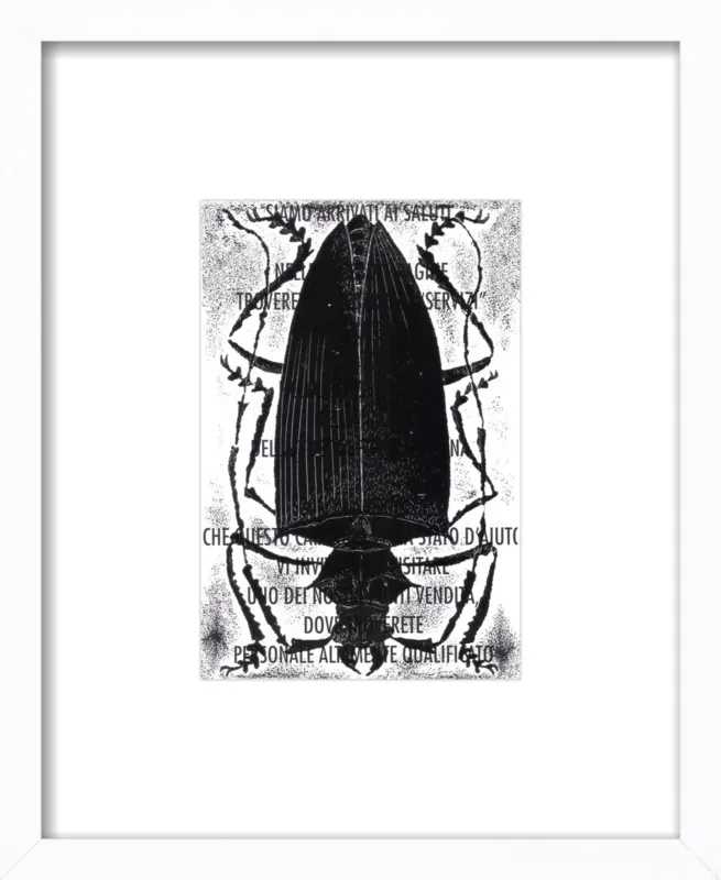 Black Beetle on Words by Tennopent Sooster for Artfully Walls