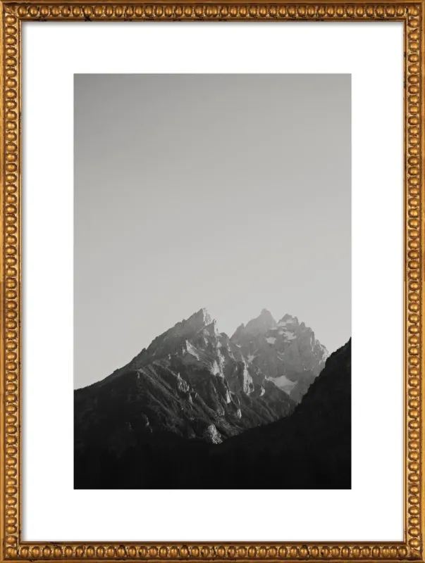 Chasing Light by Catherine McDonald for Artfully Walls