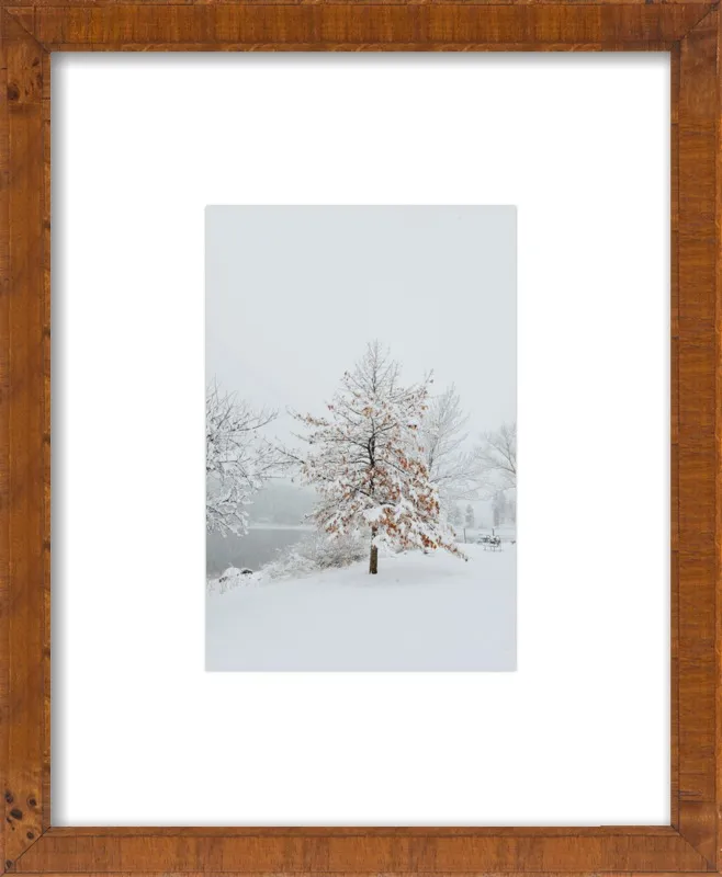 Winter Scene by Lucy Snowe for Artfully Walls
