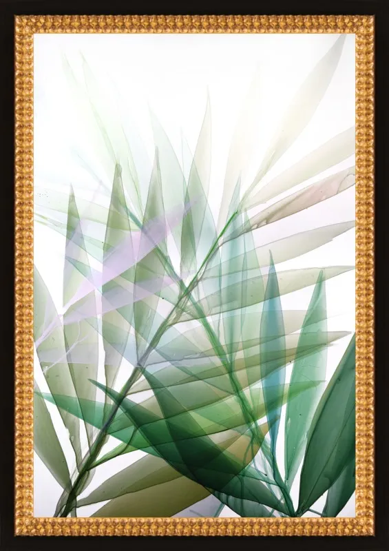 Tropical Study no. 8 by Marina Dunbar  for Artfully Walls