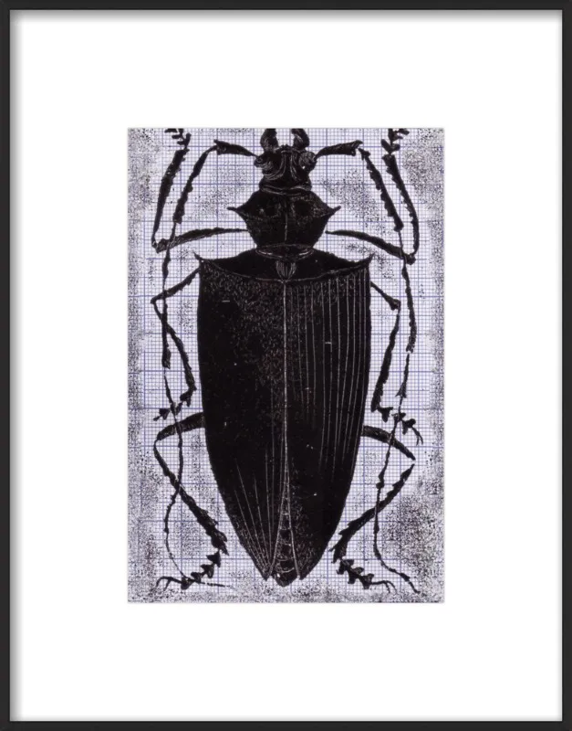 Black Beetle on Grey by Tennopent Sooster for Artfully Walls