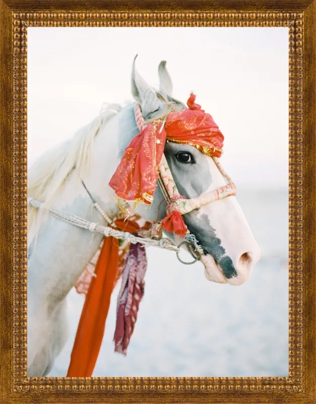 Marwari by Andrew Jacona for Artfully Walls