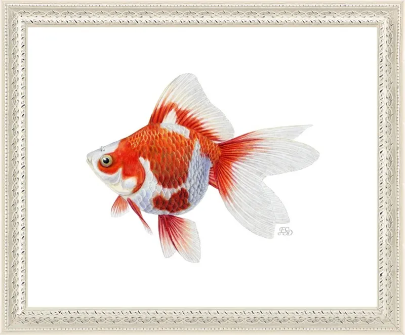 Japanese ryukin goldfish by Emily S. Damstra for Artfully Walls