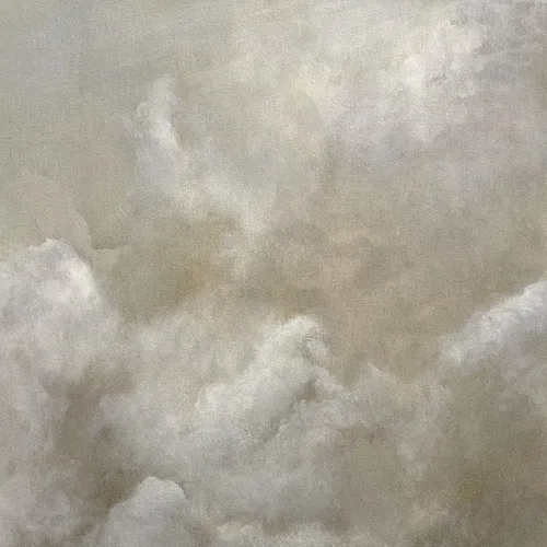 Clouds Two by Dan Hobday Art - Shower Curtain Standard 71" x 74"