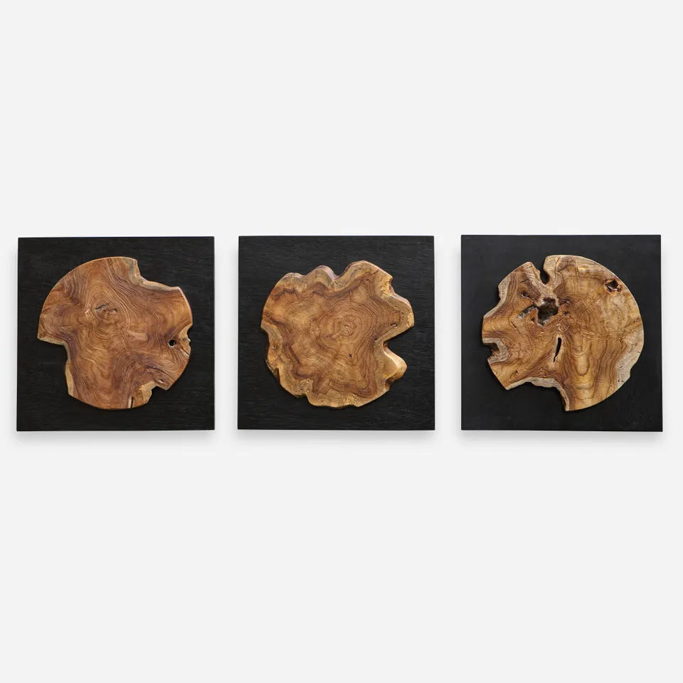 Kolini Teak Wood Wall Decor Set/3