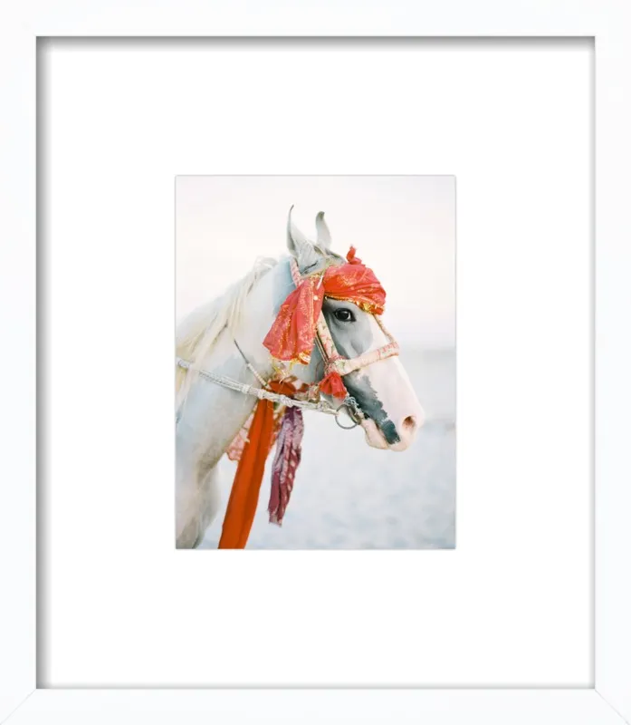 Marwari by Andrew Jacona for Artfully Walls
