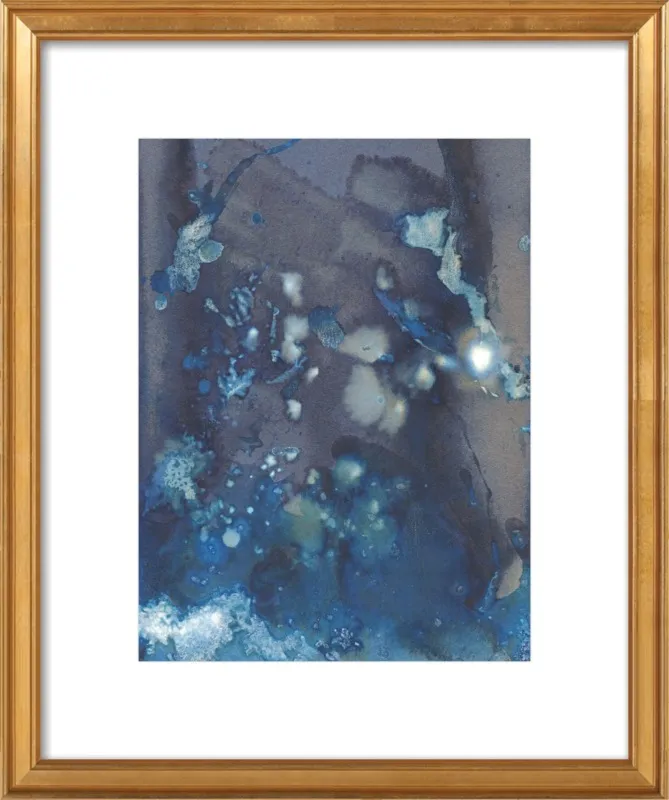 The Secret Life of Rockpools No. 36/100 by Desiree Elizabeth Malan for Artfully Walls