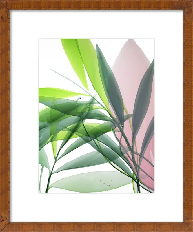 Tropical Study no. 15 by Marina Dunbar  for Artfully Walls